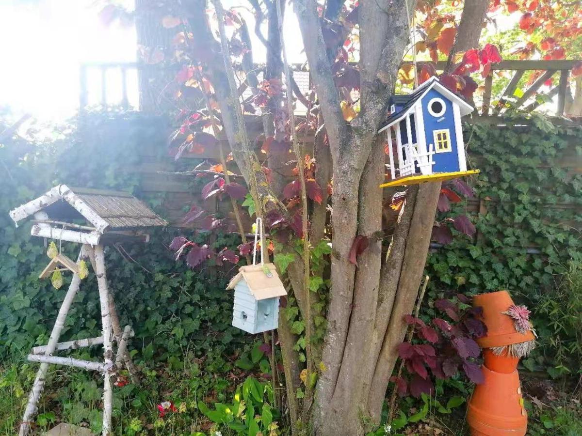 Appartment Daji Lüneburg Exteriör bild